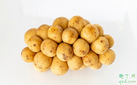 种植大土豆的秘诀是什么?掌握这些土豆个大绝对不在话下