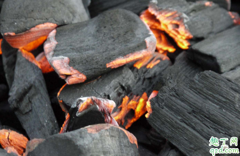 烧过的木炭能做花肥吗 木炭灰可以养哪些花
